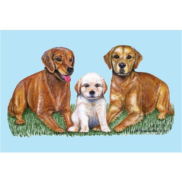 Betsy Drake Betsy Drake DM837 Golden Retriever Door Mat 18"x26" DM837 - main